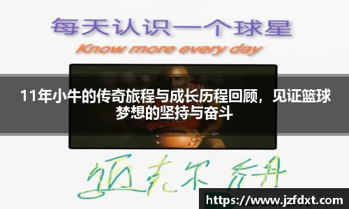 11年小牛的传奇旅程与成长历程回顾，见证篮球梦想的坚持与奋斗